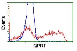 Anti-QPRT antibody [4B4] used in Flow cytometry (FACS). GTX83744