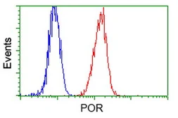 Anti-POR antibody [6C4] used in Flow cytometry (FACS). GTX83854