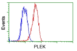 Anti-Pleckstrin antibody [2D11] used in Flow cytometry (FACS). GTX83872