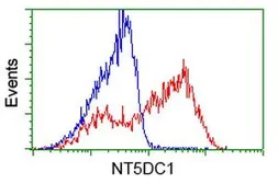 Anti-NT5DC1 antibody [3H2] used in Flow cytometry (FCM). GTX83991