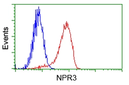 Anti-NPR-C antibody [4C3] used in Flow cytometry (FACS). GTX84010