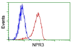 Anti-NPR-C antibody [4C3] used in Flow cytometry (FCM). GTX84010