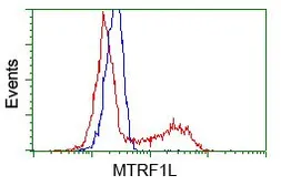 Anti-MTRF1L antibody [1D11] used in Flow cytometry (FCM). GTX84069