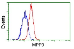 Anti-MPP3 antibody [8F1] used in Flow cytometry (FCM). GTX84090