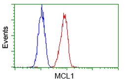 Anti-MCL1 antibody [2E11] used in Flow cytometry (FACS). GTX84135