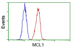 Anti-MCL1 antibody [2E11] used in Flow cytometry (FCM). GTX84135