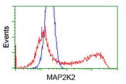 Anti-MEK2 antibody [8G6] used in Flow cytometry (FACS). GTX84165