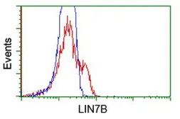 Anti-LIN7B antibody [1F11] used in Flow cytometry (FACS). GTX84218