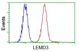 Anti-LEMD3 antibody [3H1] used in Flow cytometry (FCM). GTX84221