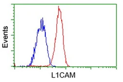 Anti-L1CAM antibody [1A8] used in Flow cytometry (FACS). GTX84236