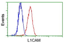 Anti-L1CAM antibody [2C7] used in Flow cytometry (FACS). GTX84241