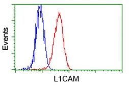 Anti-L1CAM antibody [2C7] used in Flow cytometry (FCM). GTX84241