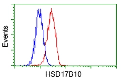 Anti-ERAB antibody [10B4] used in Flow cytometry (FACS). GTX84346