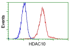 Anti-HDAC10 antibody [2H6] used in Flow cytometry (FACS). GTX84387
