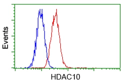 Anti-HDAC10 antibody [3C2] used in Flow cytometry (FACS). GTX84388