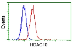 Anti-HDAC10 antibody [3C2] used in Flow cytometry (FCM). GTX84388