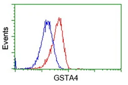 Anti-GSTA4 antibody [3F5] used in Flow cytometry (FACS). GTX84405