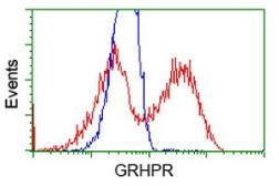 Anti-GRHPR antibody [4B6] used in Flow cytometry (FACS). GTX84415