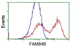 Anti-FAM84B antibody [2E7] used in Flow cytometry (FACS). GTX84524