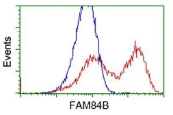 Anti-FAM84B antibody [2E7] used in Flow cytometry (FCM). GTX84524