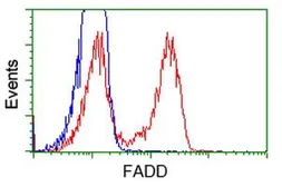 Anti-FADD antibody [1C11] used in Flow cytometry (FACS). GTX84542