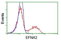 Anti-Ephrin A2 antibody [4C3] used in Flow cytometry (FCM). GTX84590