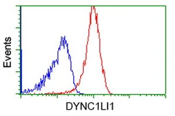 Anti-DYNC1LI1 antibody [2E8] used in Flow cytometry (FACS). GTX84594
