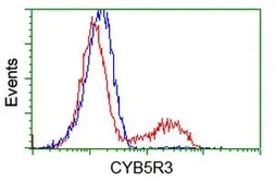 Anti-CYB5R3 antibody [1E3] used in Flow cytometry (FCM). GTX84645
