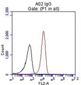 Anti-CD4 antibody [18E3] used in Flow cytometry (FACS). GTX84714