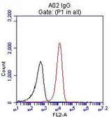 Anti-CD4 antibody [18E3] used in Flow cytometry (FCM). GTX84714