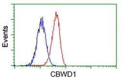 Anti-CBWD1 antibody [4E8] used in Flow cytometry (FACS). GTX84728