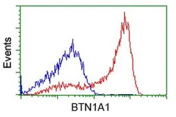 Anti-BTN1A1 antibody [5E6] used in Flow cytometry (FCM). GTX84775