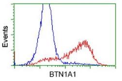 Anti-BTN1A1 antibody [3A12] used in Flow cytometry (FACS). GTX84780