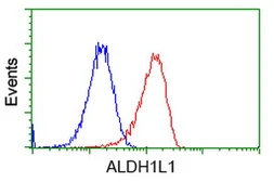 Anti-ALDH1L1 antibody [5G8] used in Flow cytometry (FCM). GTX84892