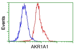Anti-AKR1A1 antibody [8H2] used in Flow cytometry (FACS). GTX84915