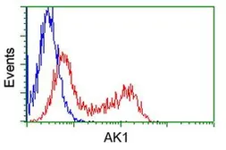 Anti-Adenylate kinase 1 antibody [8A1] used in Flow cytometry (FACS). GTX84938