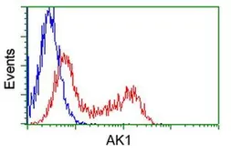 Anti-Adenylate kinase 1 antibody [8A1] used in Flow cytometry (FCM). GTX84938