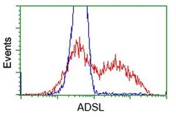 Anti-ADSL antibody [2D10] used in Flow cytometry (FACS). GTX84956