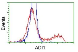 Anti-ADI1 antibody [5C2] used in Flow cytometry (FACS). GTX84957