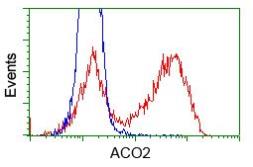 Anti-Aconitase 2 antibody [7G4] used in Flow cytometry (FACS). GTX84965