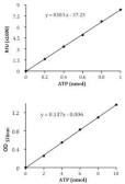 ATP Colorimetric/Fluorometric Assay Kit. GTX85579
