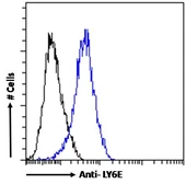Anti-LY6E antibody, Internal used in Flow cytometry (FCM). GTX88065