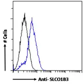Anti-OATP8 antibody, Internal used in Flow cytometry (FACS). GTX88295