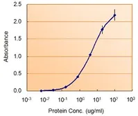 Anti-Nodal antibody, Internal used in ELISA (ELISA). GTX88954