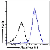 Anti-PD-L1 antibody, C-term used in Flow cytometry (FCM). GTX89590