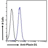 Anti-Plexin D1 antibody, Internal used in Flow cytometry (FACS). GTX89601