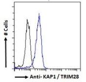 Anti-KAP1 antibody, C-term used in Flow cytometry (FACS). GTX89879